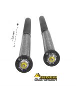 Touratech Suspension ön kartuş seti, -35mm alçak, Husqvarna Norden 901 (2022-)