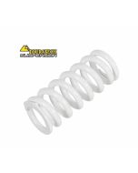 Arka amortisör yayı LINEER / 150N/mm, BMW R1200GS / R1250GS 2013-2023 "Orijinal BMW Dynamic ESA için"